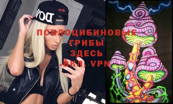прущие крисы Михайловск