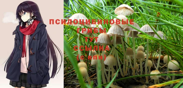 прущие крисы Михайловск