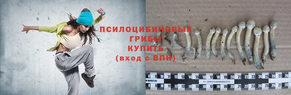 прущие крисы Михайловск