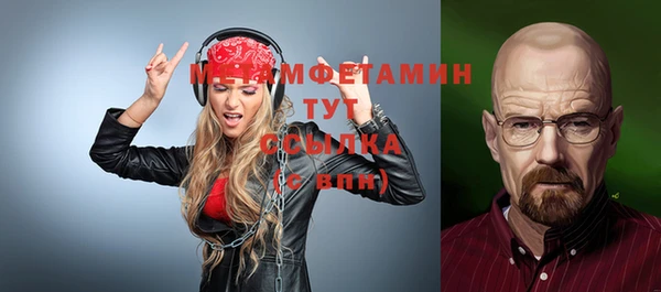 мдпв Михайлов