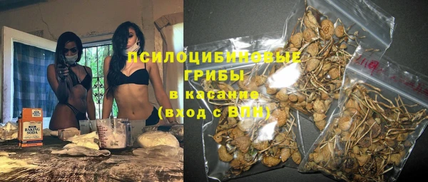 мдпв Михайлов