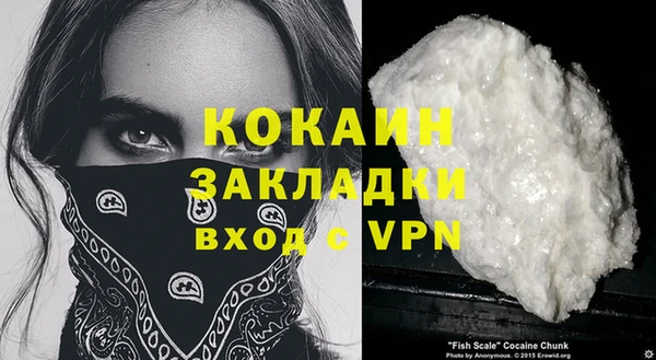 мдпв Михайлов