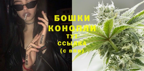 мдпв Михайлов