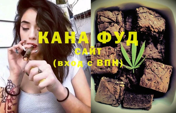 мдпв Михайлов