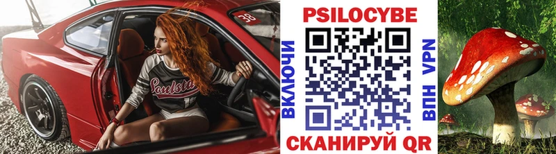 купить наркотик  Петровск-Забайкальский  Псилоцибиновые грибы Psilocybe 
