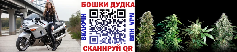 Конопля семена  сколько стоит  Петровск-Забайкальский 